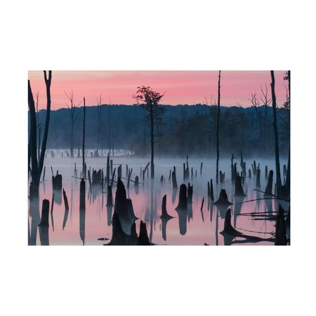 TRADEMARK FINE ART Austin 'Lake At Morning 2' Canvas Art, 22x32 1X13611-C2232GG